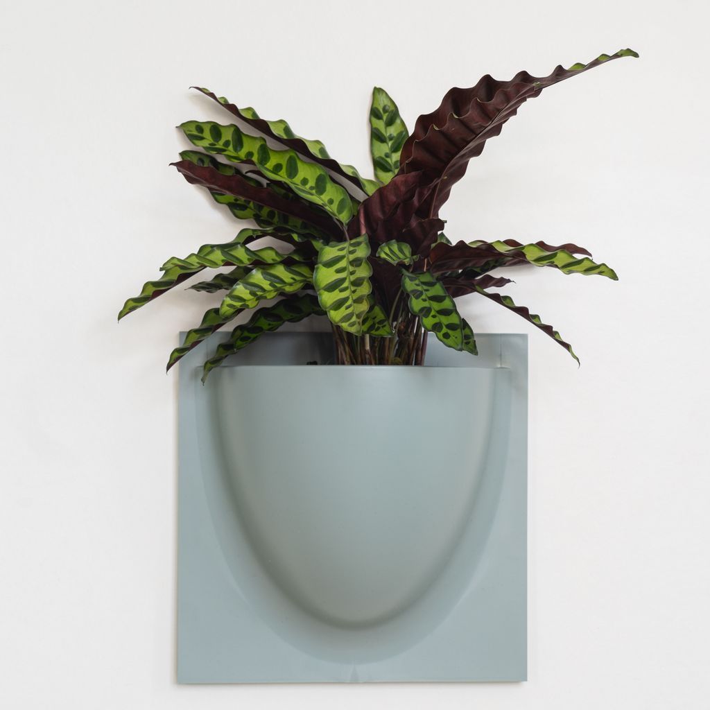 [product_category]-Verti Copenhagen Verti Plants, Dusty Blue-Verti Copenhagen-5712471000407-1010-VER-3