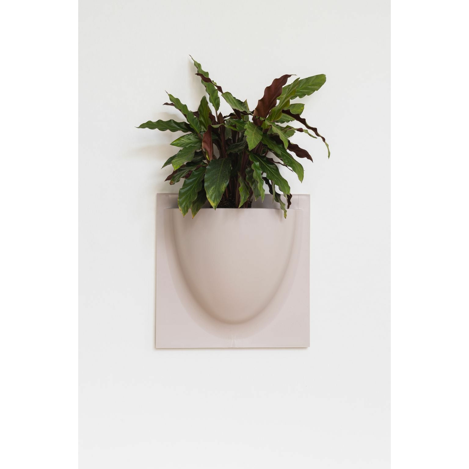 [product_category]-Verti Copenhagen Verti Plants, Sand-Verti Copenhagen-5712471000377-1007-VER-2