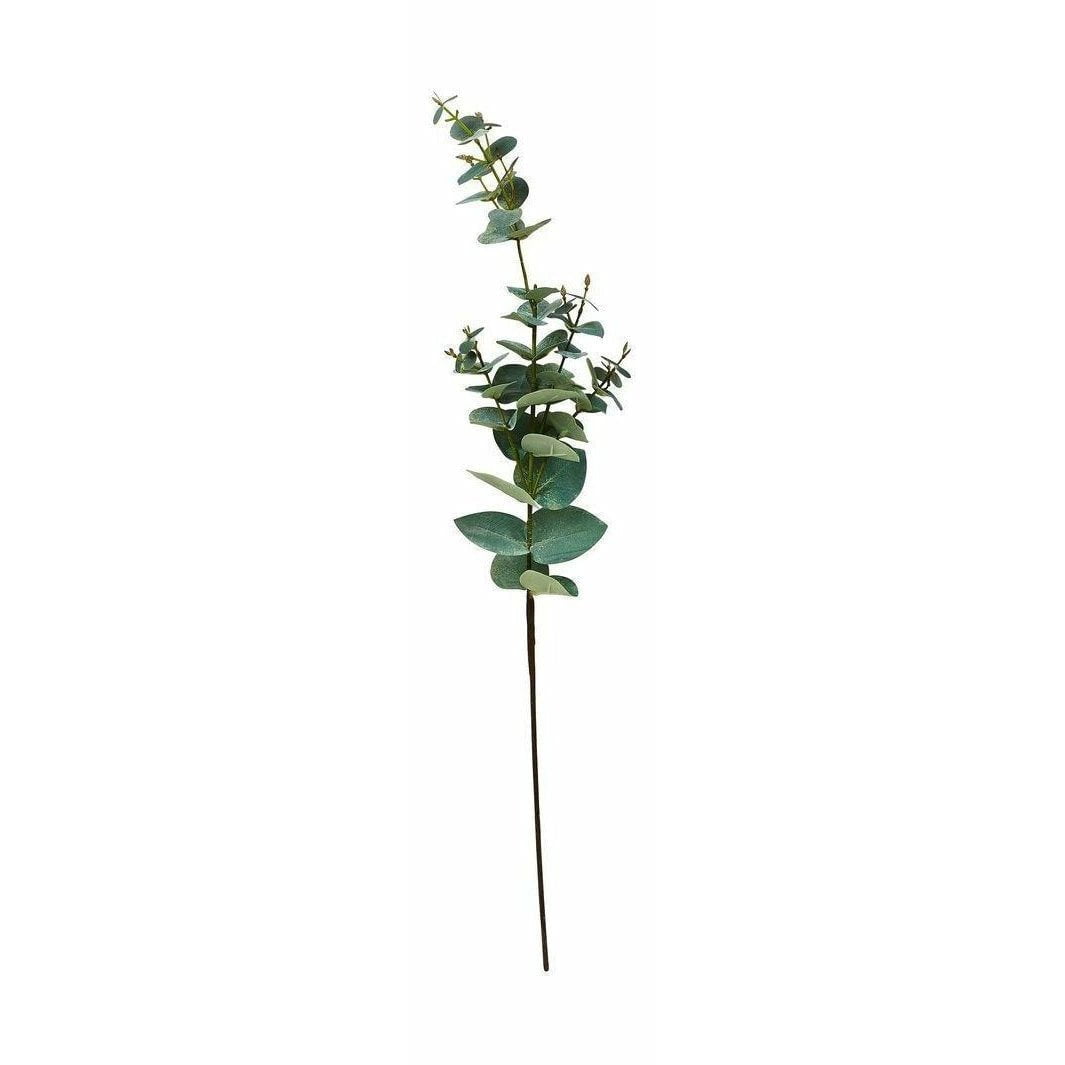 [product_category]-Villa Collection Decor Eucalyptus-Villa Collection-5708760672677-341416-VIL-1