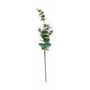 Villa Collection Decor Eucalyptus