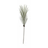 Villa Collection Decor Fir Pp