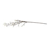 Villa Collection Decor Snowberry