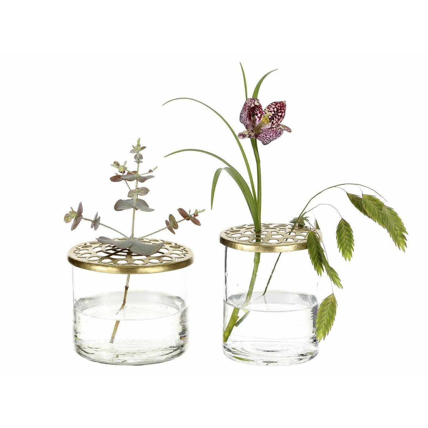 [product_category]-Villa Collection Elva Glass Vases 2 Pcs With Brass Lid-Villa Collection-5722009635216-963521-VIL-2