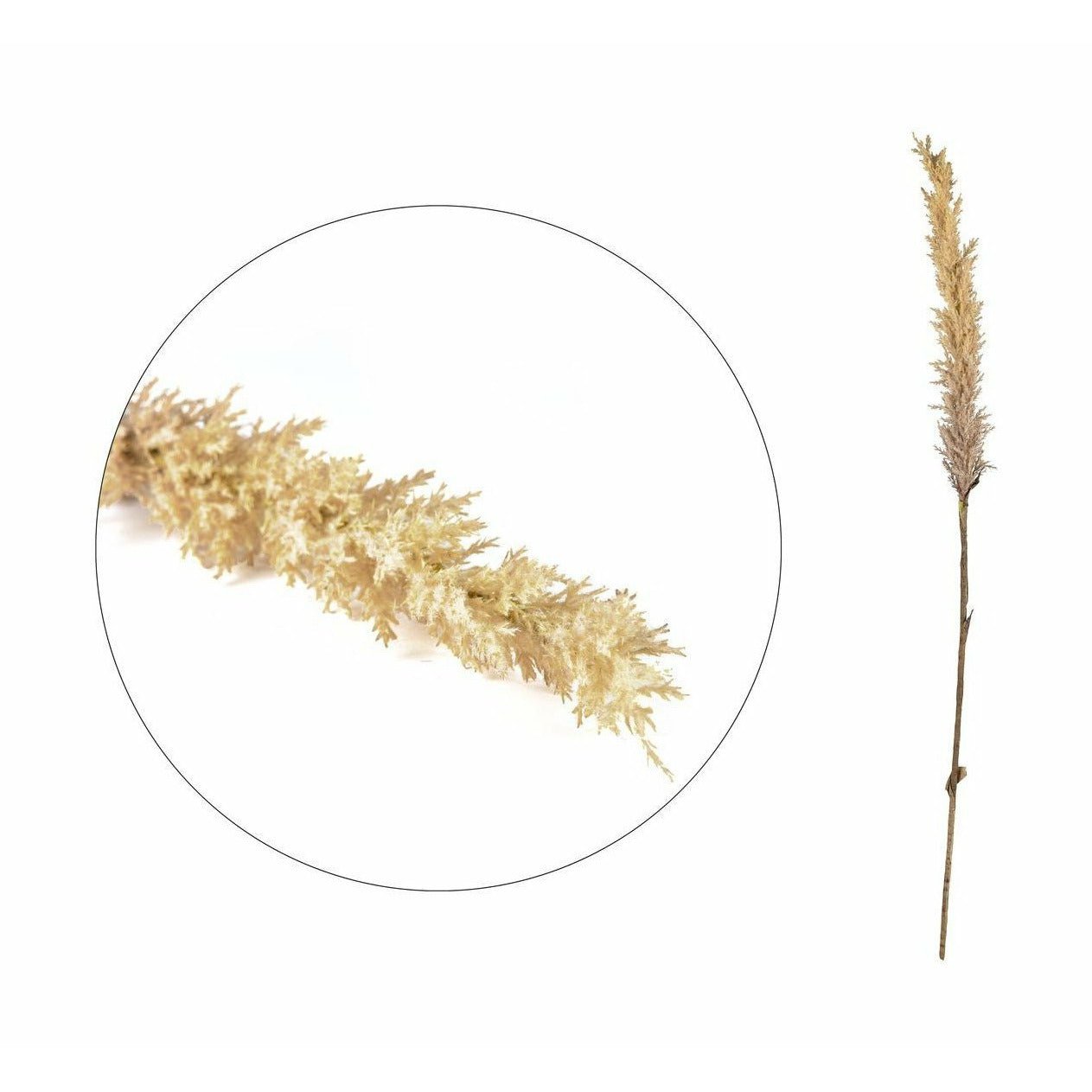 [product_category]-Villa Collection Grasses Light Decor 100 Cm Natural-Villa Collection-5722000125112-12511-VIL-1