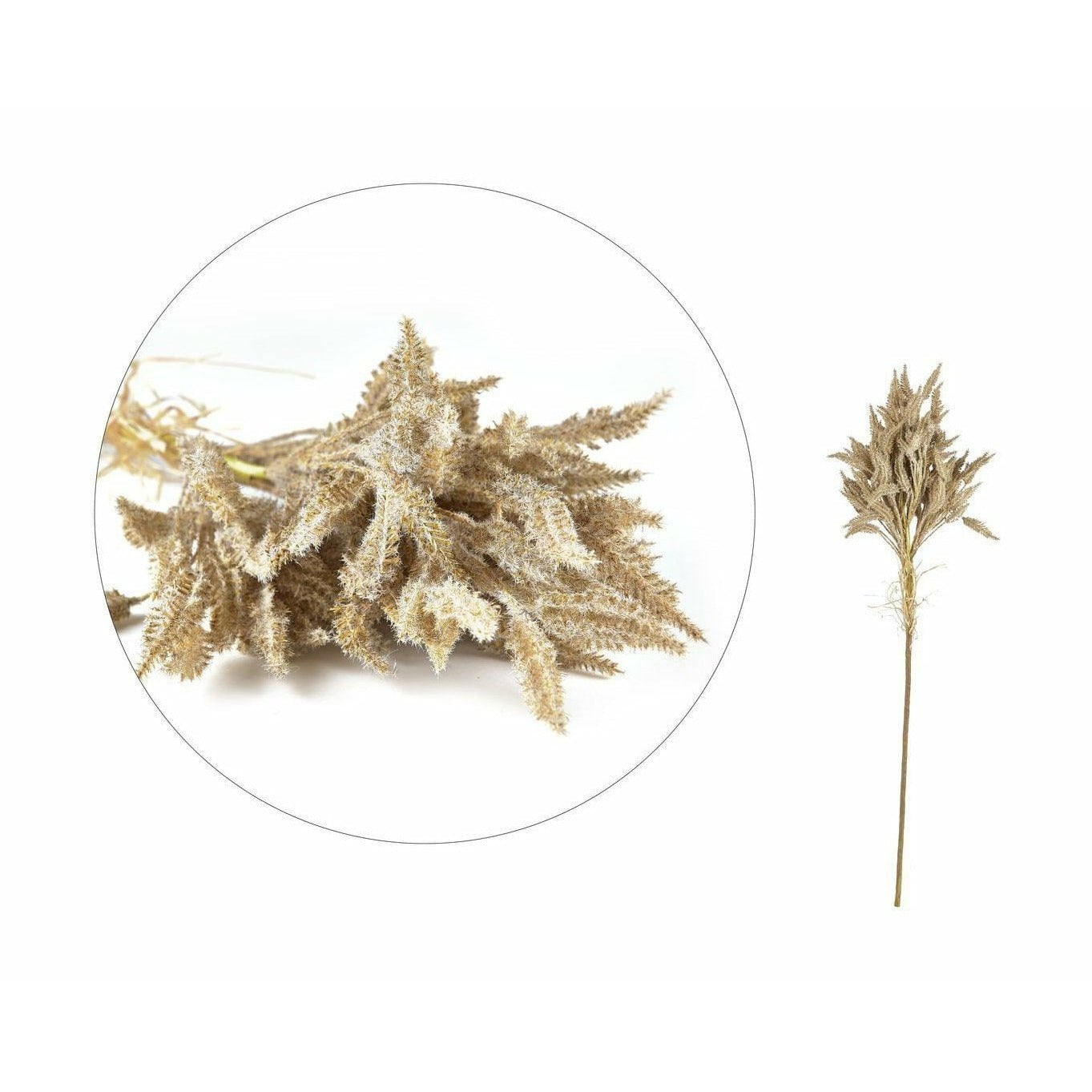 [product_category]-Villa Collection Soft Grass Decor-Villa Collection-5722000125075-12507-VIL-1