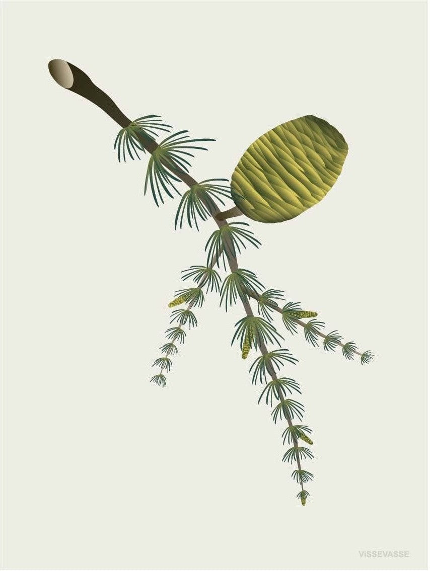 [product_category]-Vissevasse Cedar Cone Poster, 15 X21 Cm-Vissevasse-5713138719212-F-2017-192-S-VIS-1