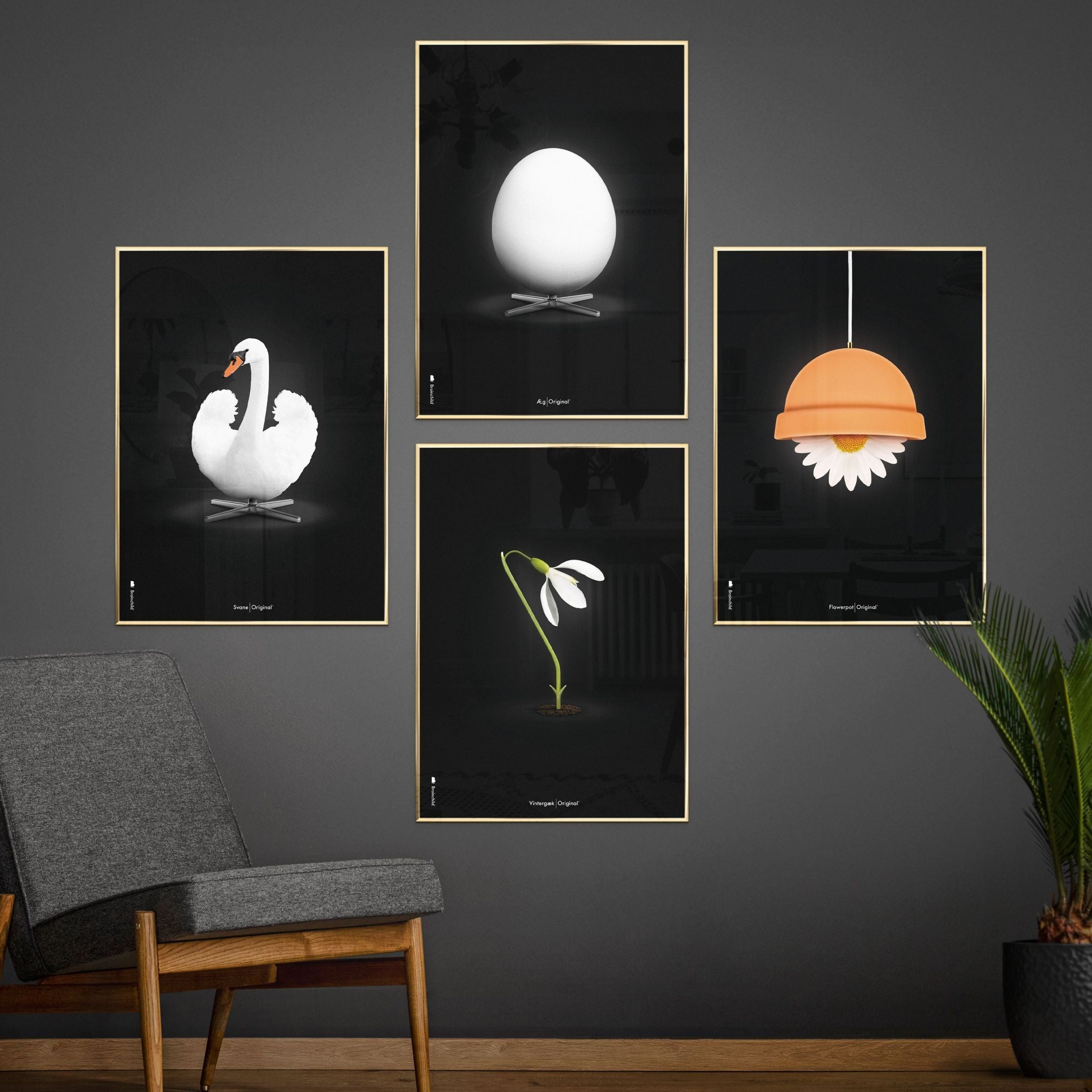 brainchild Blomsterpotte klassisk plakat, messingramme 30x40 cm, sort baggrund