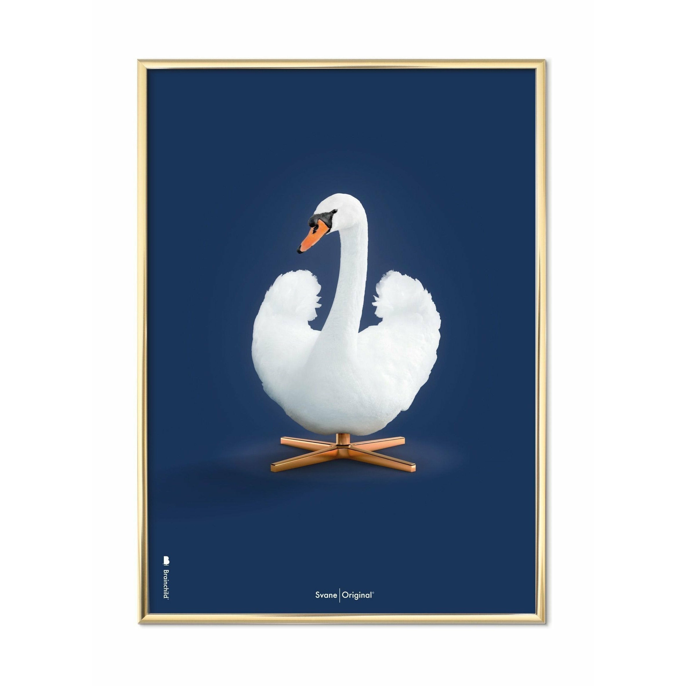 brainchild Swan Classic plakat, messingramme 50x70 cm, mørkeblå baggrund
