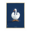 brainchild Swan Classic plakat messingramme 50x70 cm mørkeblå baggrund
