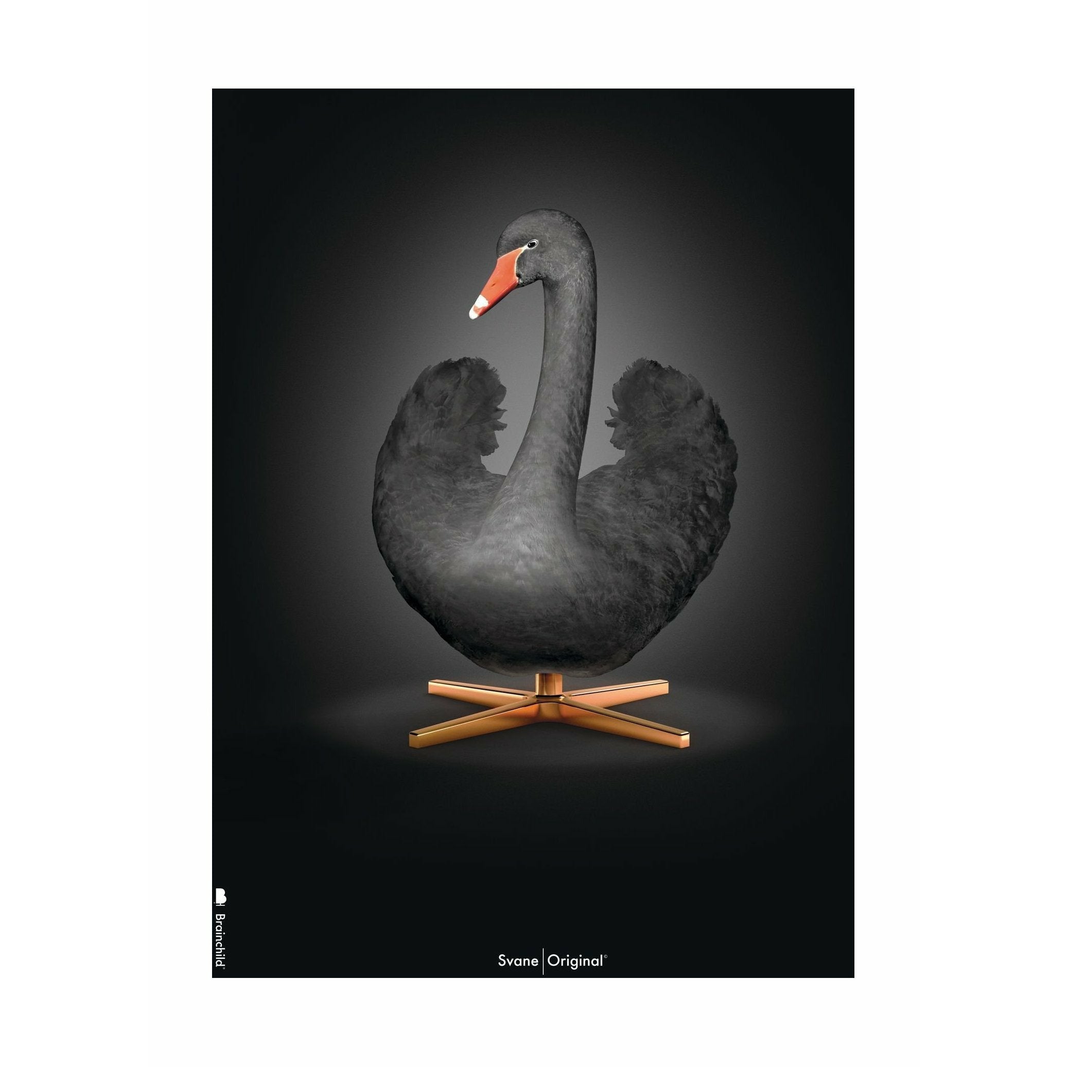 brainchild Swan Classic plakat uden ramme 50 x70 cm, sort/sort baggrund