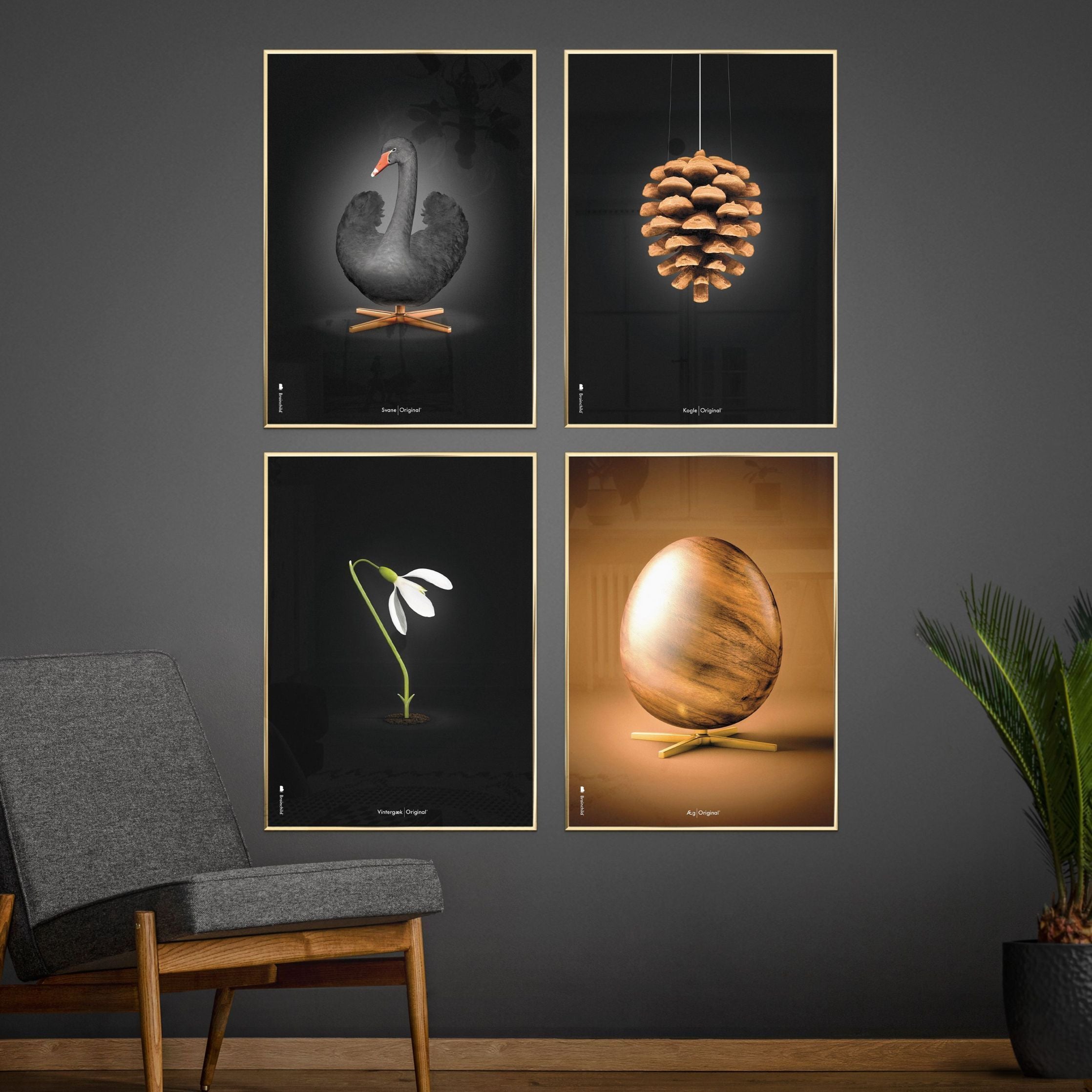 brainchild Swan Classic Poster, Dark Wood Frame A5, sort/sort baggrund