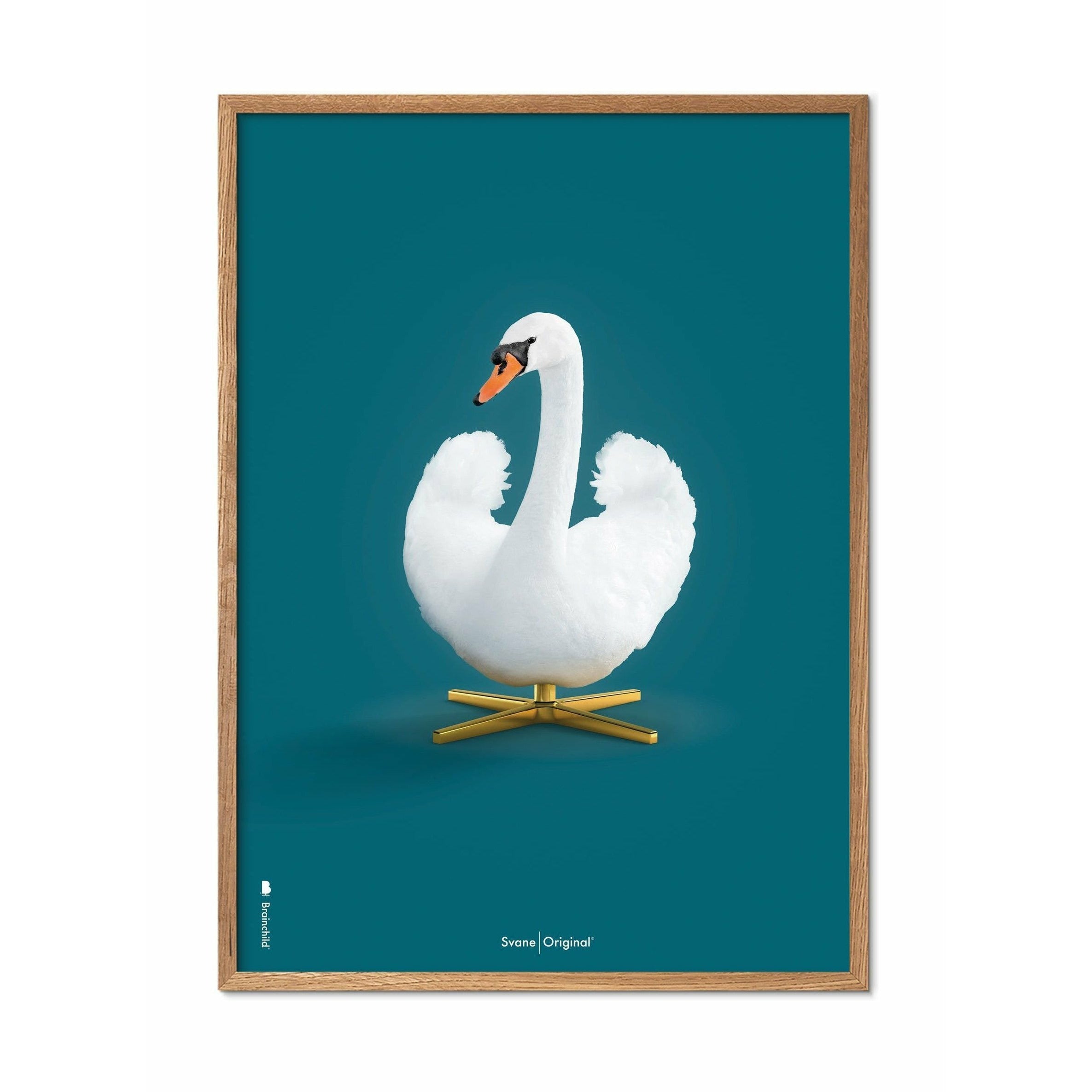 brainchild Swan Classic plakat, lystrårramme 70 x100 cm, petroleumblå baggrund