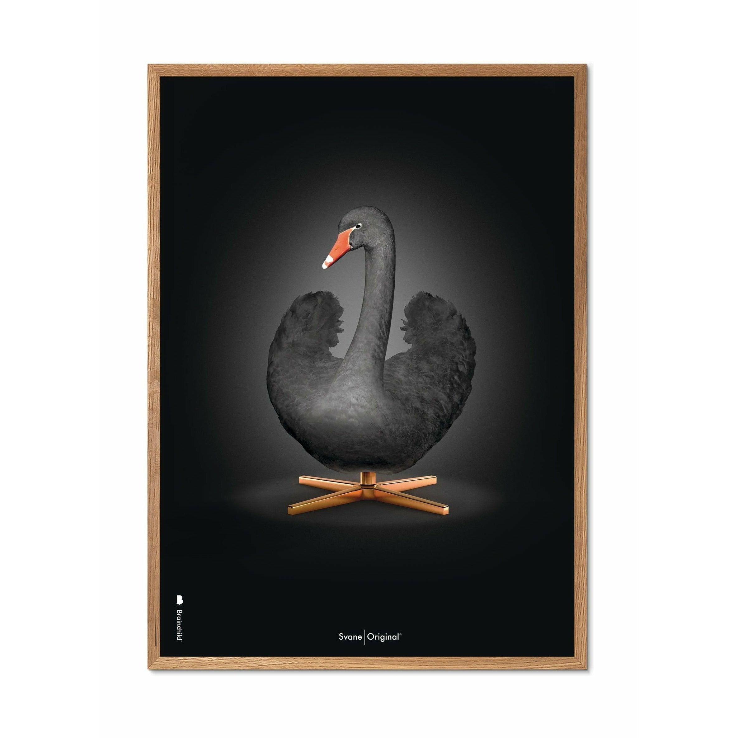 brainchild Swan Classic plakat, let træramme A5, sort/sort baggrund