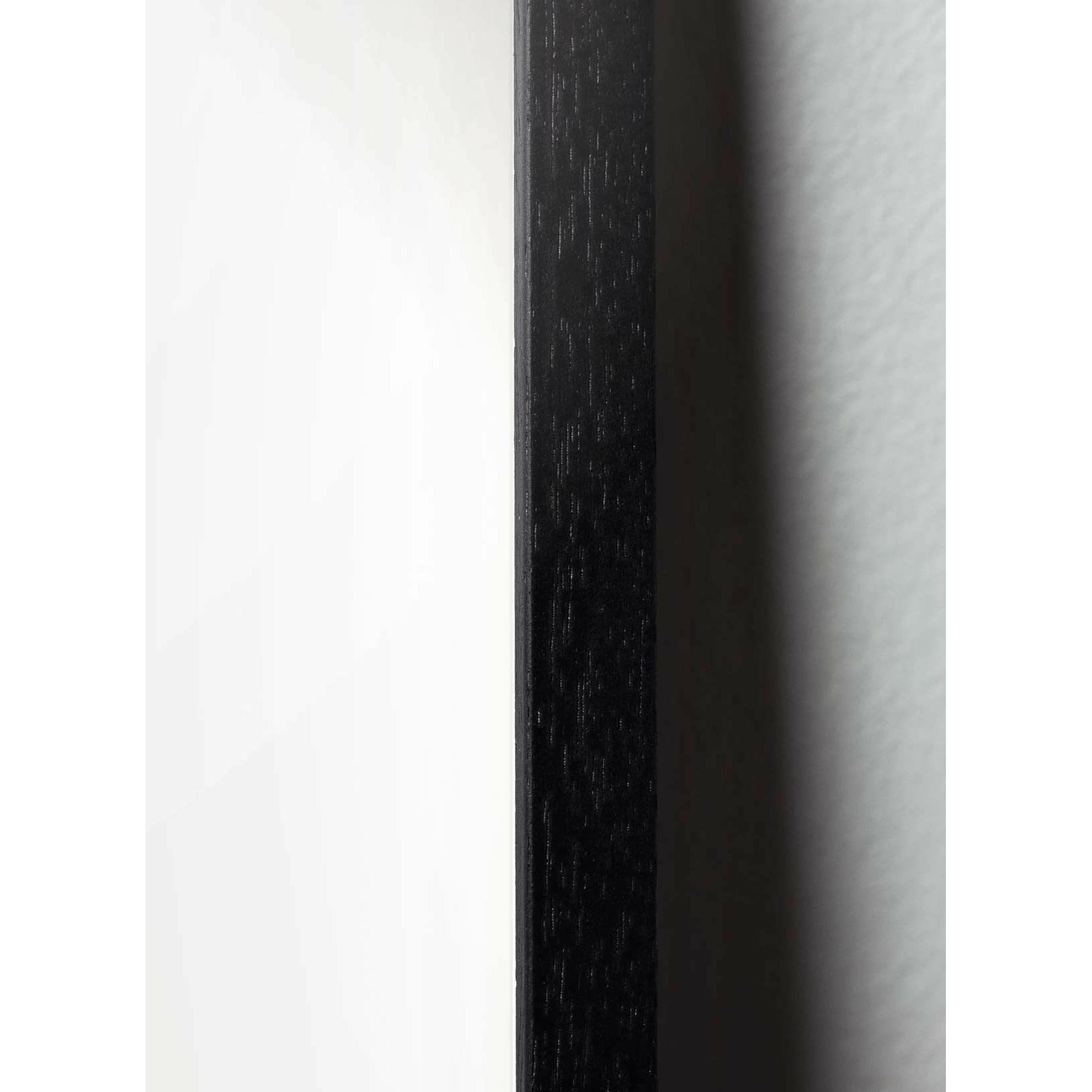 brainchild Swan Classic plakat, ramme i sort lakeret træ 50x70 cm, sort/sort baggrund