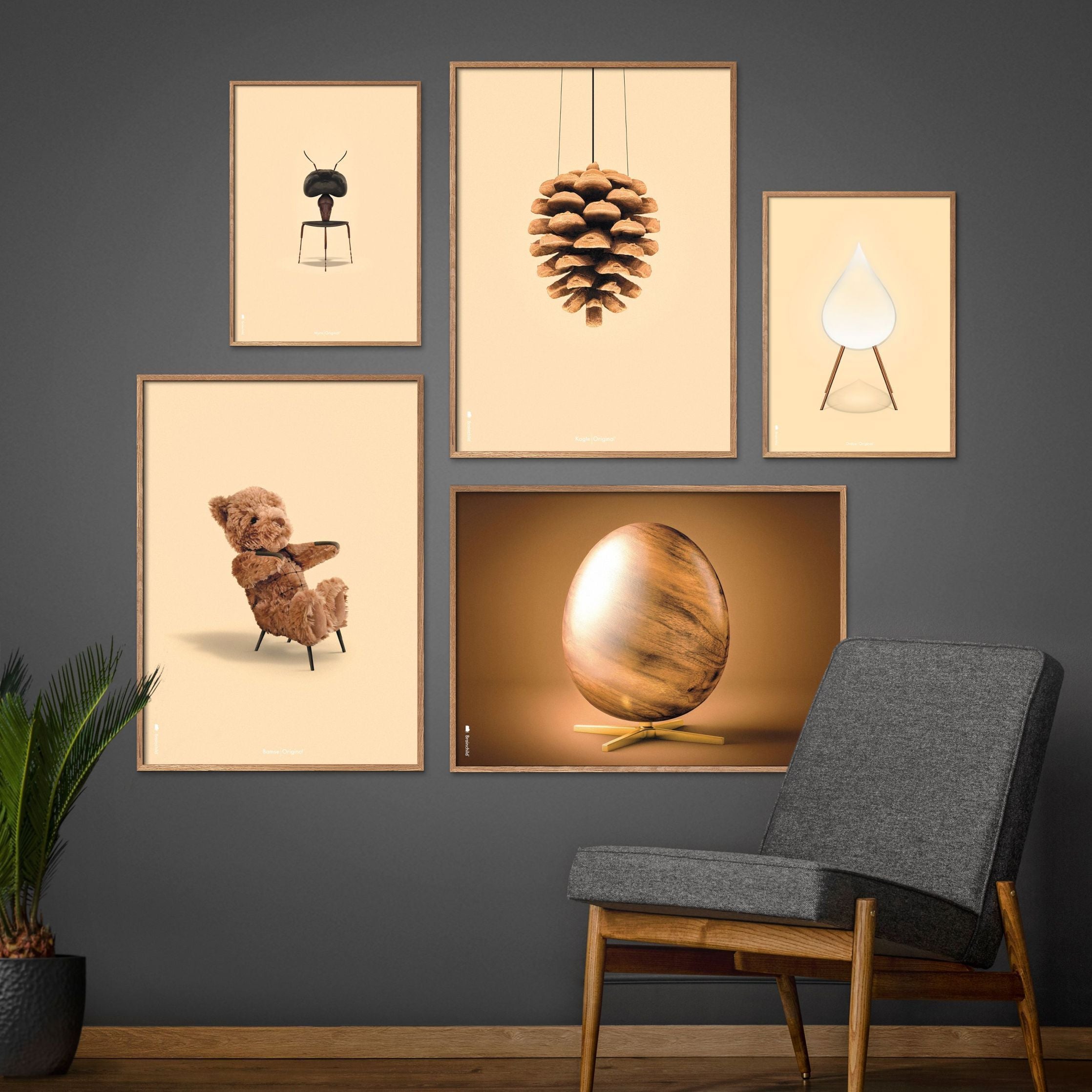 brainchild Pine Cone Classic Poster, Dark Wood Frame 30x40 cm, sandfarvet baggrund