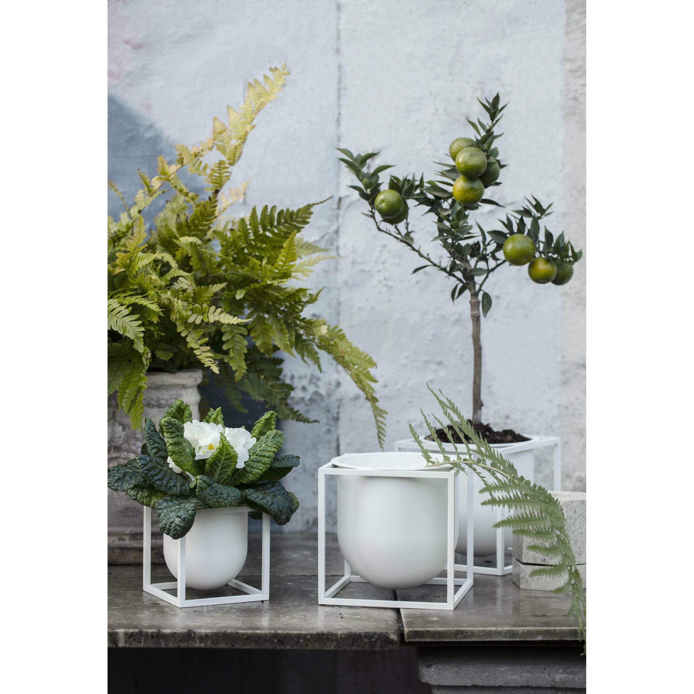 Audo Copenhagen Kubus Flowerpot White, 14cm