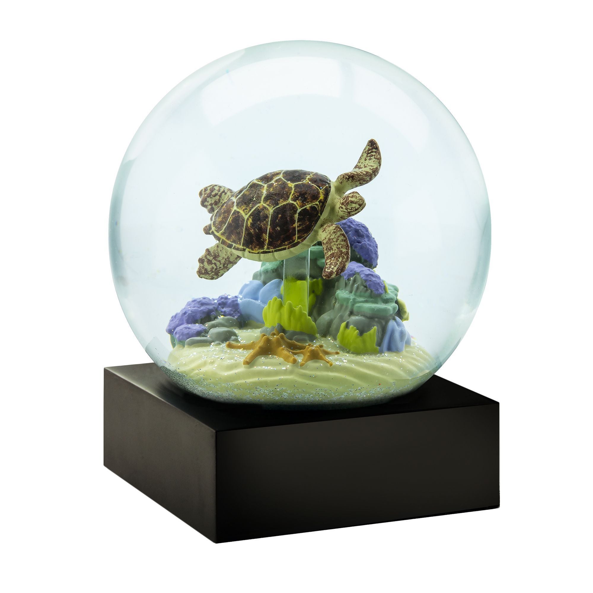 Cool Snow Globes Havskildpadde