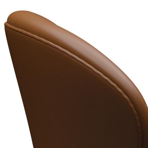 Fritz Hansen Swan Lounge Chair, Warm Graphite/Aura Walnut