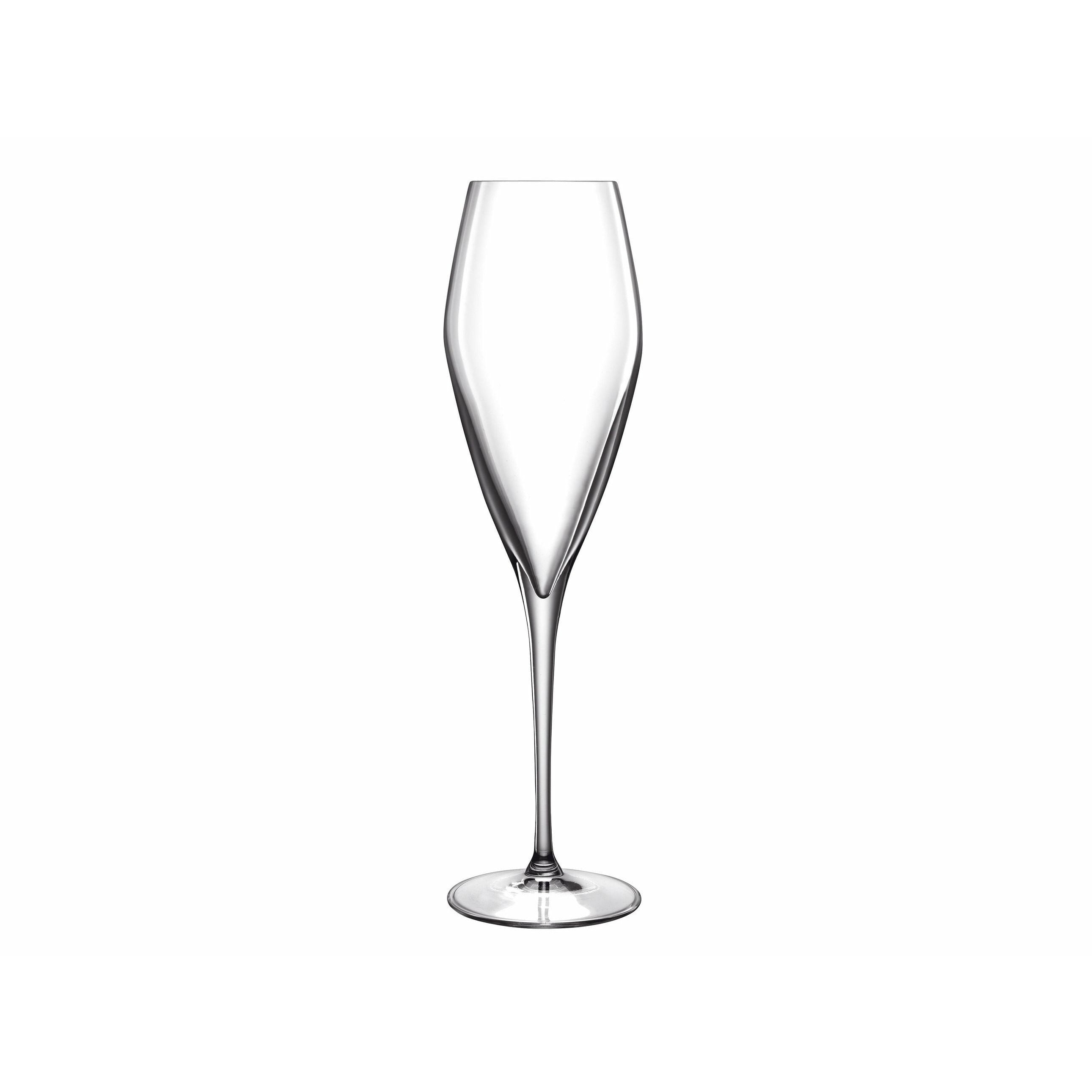 Luigi Bormioli Atelier Champagne Glass Prosecco, 2 Pieces