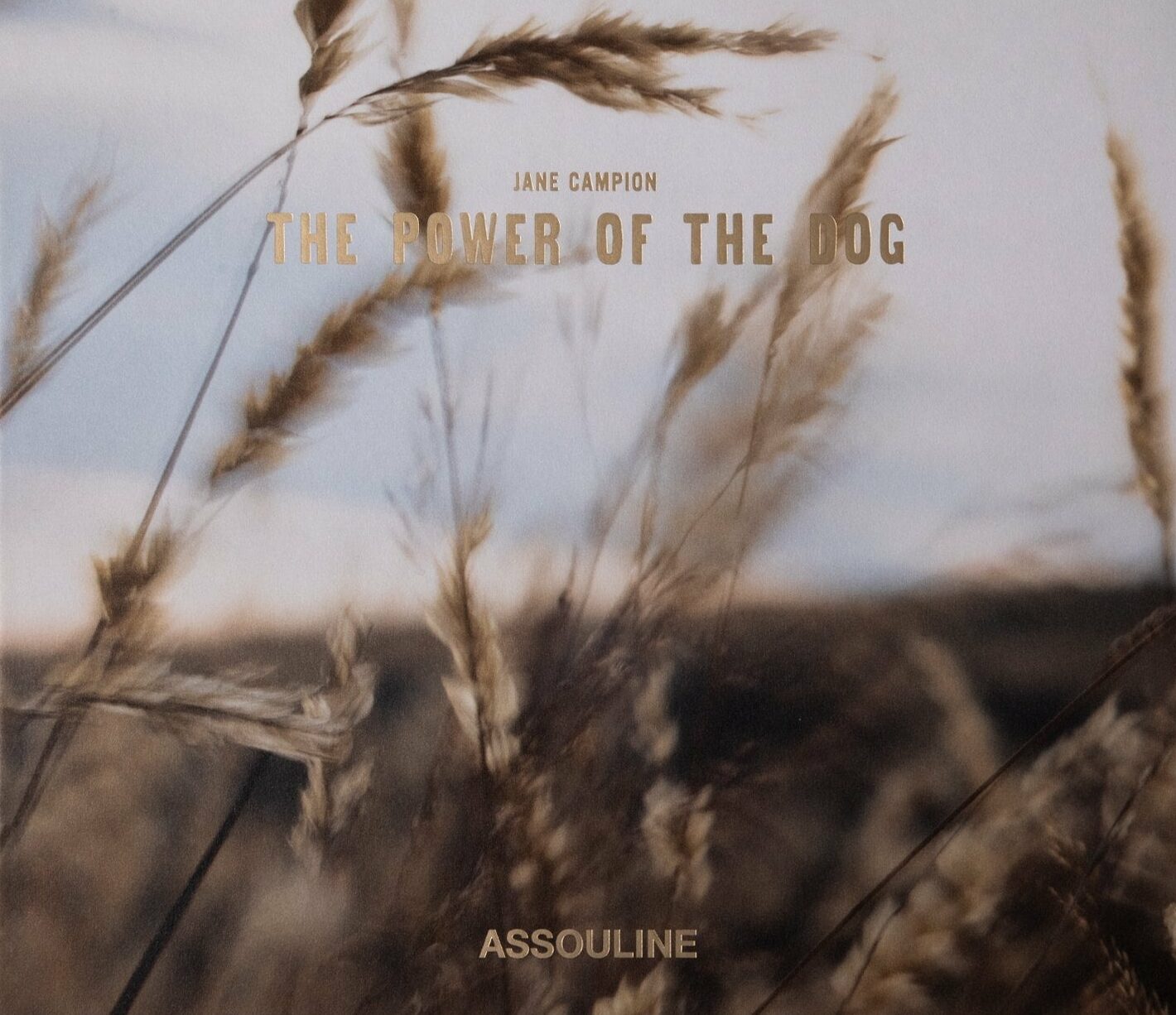 Assouline The Power Of The Dog