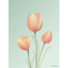 Vissevasse Tulip Poster 30 X40 Cm, Mint