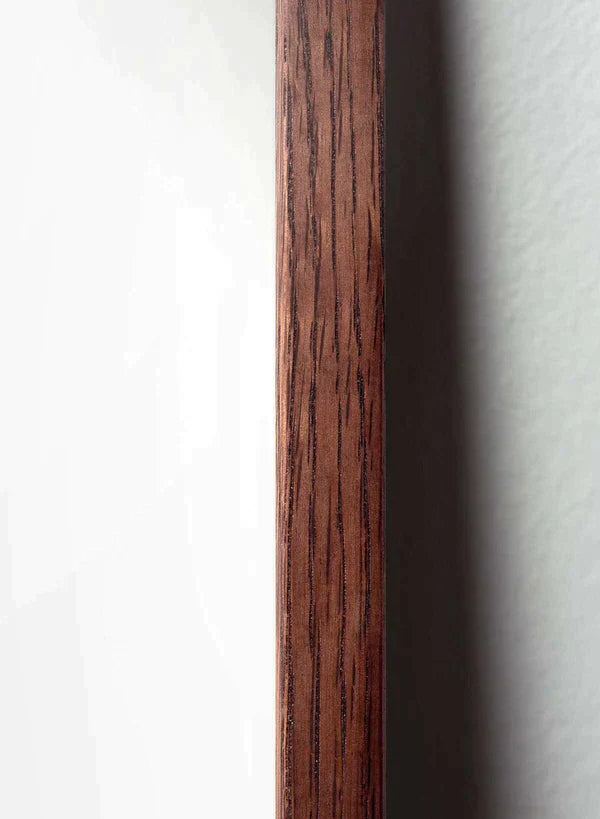 Rám plakátu mozků 30x40 cm, tmavý dub